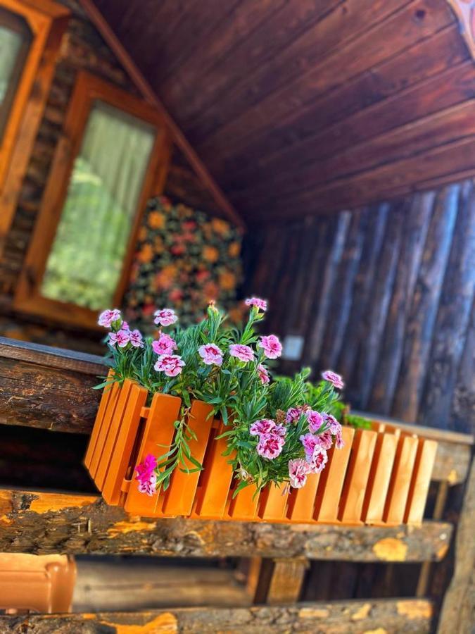 Zeytindagi Bungalow Mehmetalani Экстерьер фото