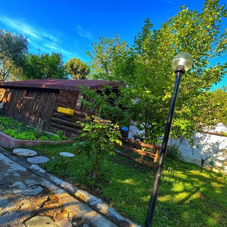 Zeytindagi Bungalow Mehmetalani Экстерьер фото