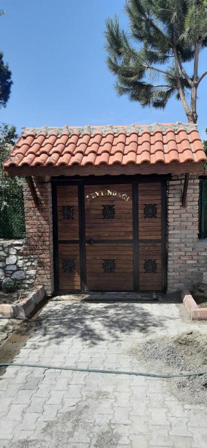 Zeytindagi Bungalow Mehmetalani Экстерьер фото